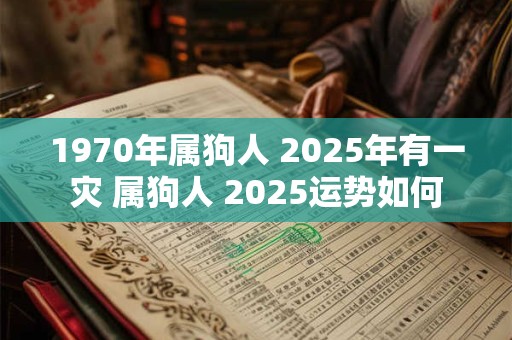 1970年属狗人 2025年有一灾 属狗人 2025运势如何 1970年属狗人 2025年有一灾 属狗人 2025运势如何