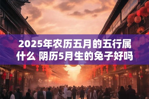 2025年农历五月的五行属什么 阴历5月生的兔子好吗