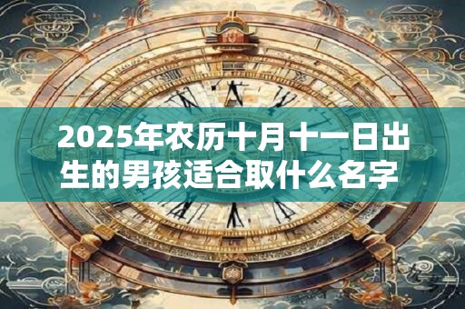 2025年农历十月十一日出生的男孩适合取什么名字 命运如何