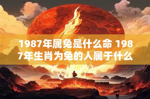 1987年属兔是什么命 1987年生肖为兔的人属于什么命 1987年属兔是什么命 1987年生肖为兔的人属于什么命