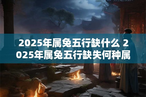 2025年属兔五行缺什么 2025年属兔五行缺失何种属性