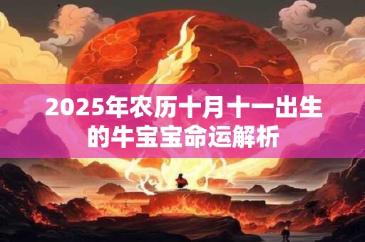 2025年农历十月十一出生的牛宝宝命运解析