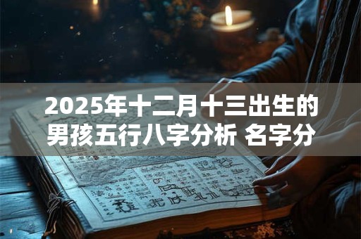2025年十二月十三出生的男孩五行八字分析 名字分享