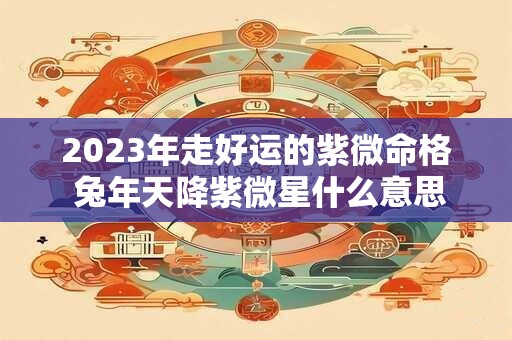 2023年走好运的紫微命格 兔年天降紫微星什么意思