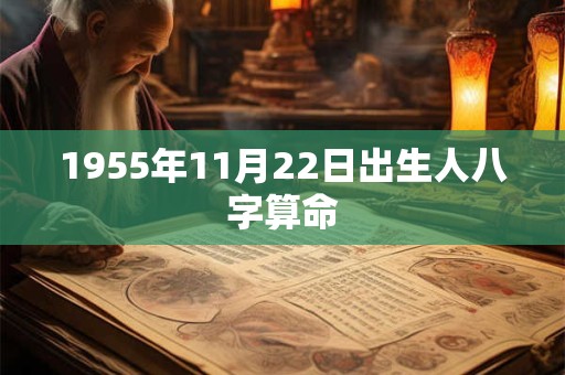 1955年11月22日出生人八字算命