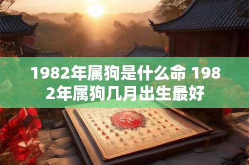 1982年属狗是什么命 1982年属狗几月出生最好