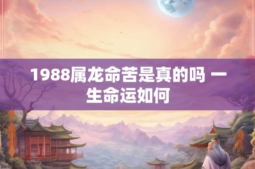 1988属龙命苦是真的吗 一生命运如何