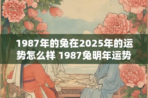 1987年的兔在2025年的运势怎么样 1987兔明年运势如何