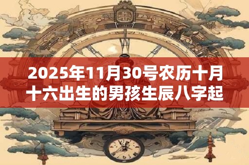 2025年11月30号农历十月十六出生的男孩生辰八字起名