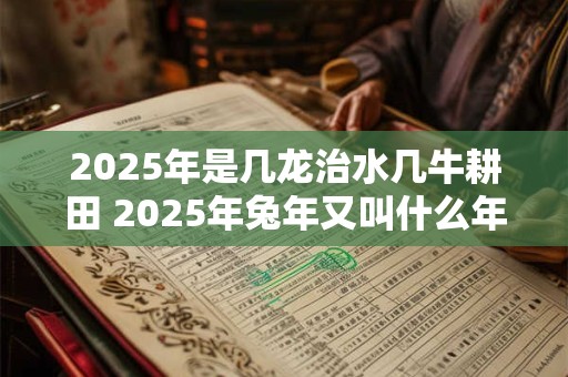 2025年是几龙治水几牛耕田 2025年兔年又叫什么年 2025年是几龙治水几牛耕田 2025年兔年又叫什么年