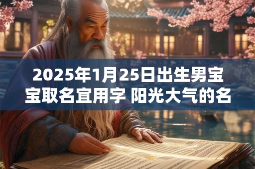2025年1月25日出生男宝宝取名宜用字 阳光大气的名字分享