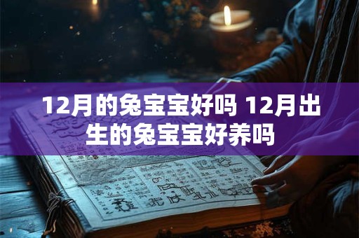12月的兔宝宝好吗 12月出生的兔宝宝好养吗