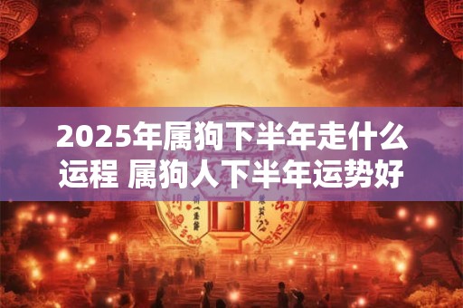 2025年属狗下半年走什么运程 属狗人下半年运势好不好