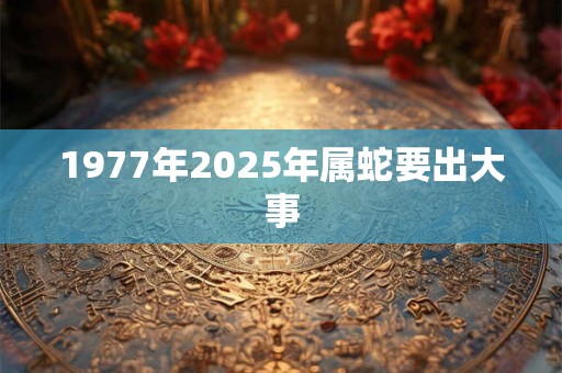 1977年2025年属蛇要出大事