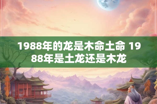 1988年的龙是木命土命 1988年是土龙还是木龙