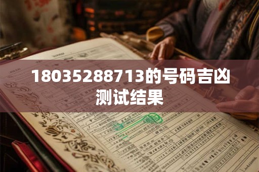 18035288713的号码吉凶测试结果