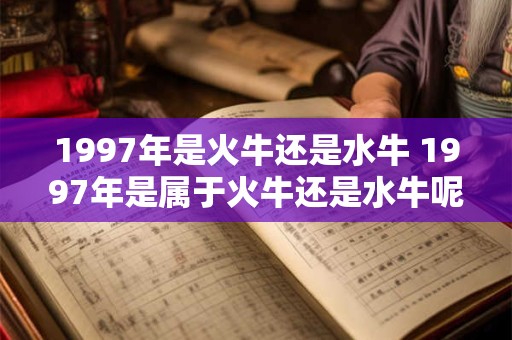 1997年是火牛还是水牛 1997年是属于火牛还是水牛呢