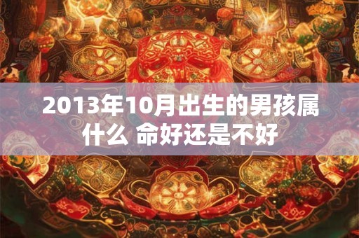 2013年10月出生的男孩属什么 命好还是不好