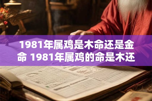 1981年属鸡是木命还是金命 1981年属鸡的命是木还是金