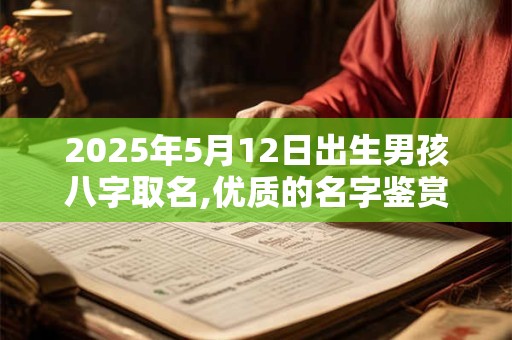 2025年5月12日出生男孩八字取名,优质的名字鉴赏