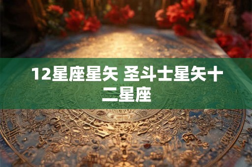 12星座星矢 圣斗士星矢十二星座