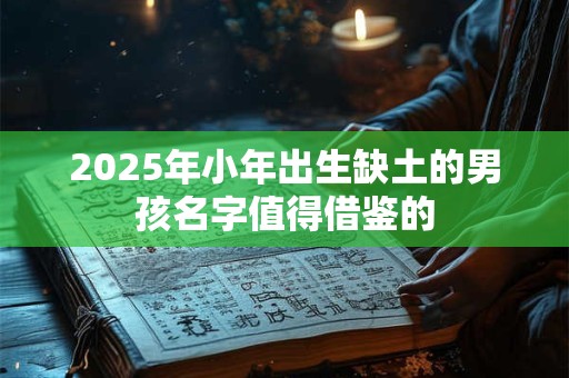 2025年小年出生缺土的男孩名字值得借鉴的 2025年小年出生缺土的男孩名字值得借鉴的