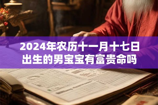 2024年农历十一月十七日出生的男宝宝有富贵命吗