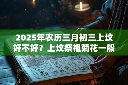 2025年农历三月初三上坟好不好？上坟祭祖菊花一般用几朵？
