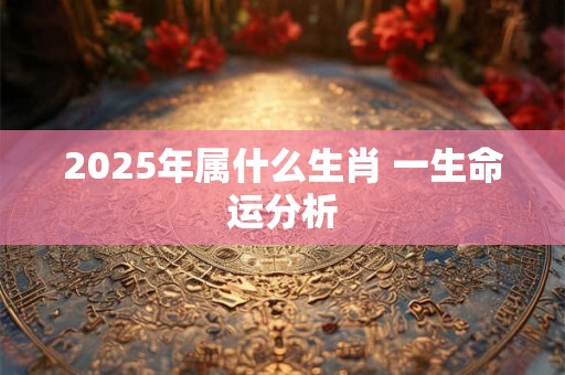 2025年属什么生肖 一生命运分析
