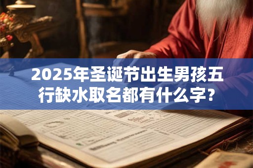 2026年圣诞节出生男孩五行缺水取名都有什么字？