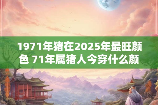 1971年猪在2025年最旺颜色 71年属猪人今穿什么颜色大旺