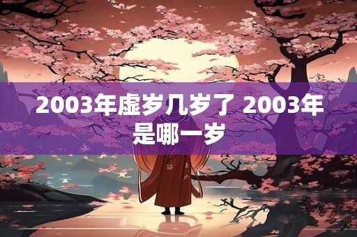 2003年虚岁几岁了 2003年是哪一岁