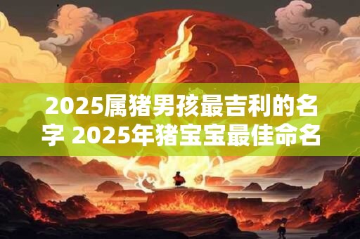 2025属猪男孩最吉利的名字 2025年猪宝宝最佳命名是什么