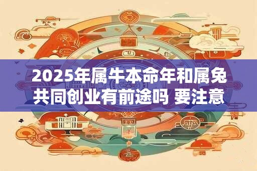 2025年属牛本命年和属兔共同创业有前途吗 要注意什么