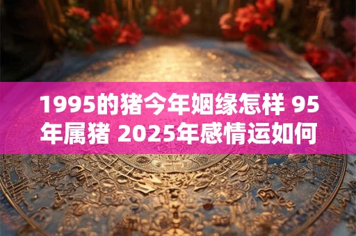 1995的猪今年姻缘怎样 95年属猪 2025年感情运如何