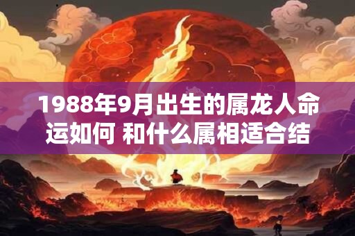 1988年9月出生的属龙人命运如何 和什么属相适合结婚