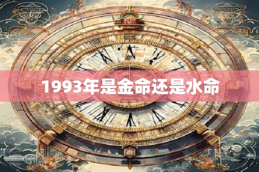 1993年是金命还是水命