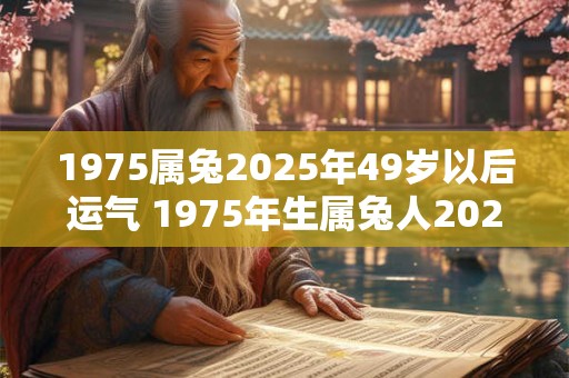 1975属兔2025年49岁以后运气 1975年生属兔人2025年会有什么运势