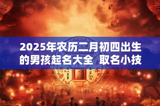 2025年农历二月初四出生的男孩起名大全  取名小技巧
