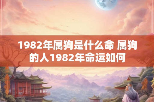 1982年属狗是什么命 属狗的人1982年命运如何