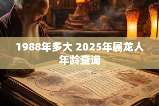 1988年多大 2025年属龙人年龄查询