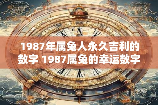 1987年属兔人永久吉利的数字 1987属兔的幸运数字是多少