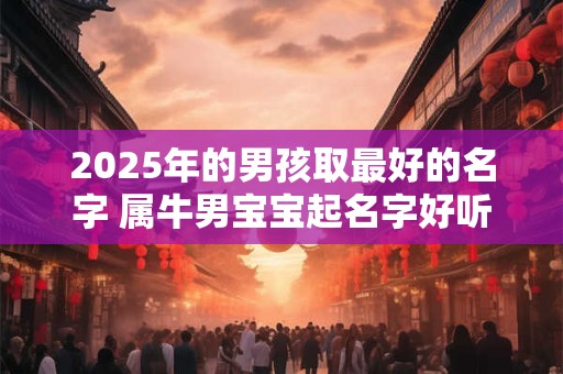 2025年的男孩取最好的名字 属牛男宝宝起名字好听大气