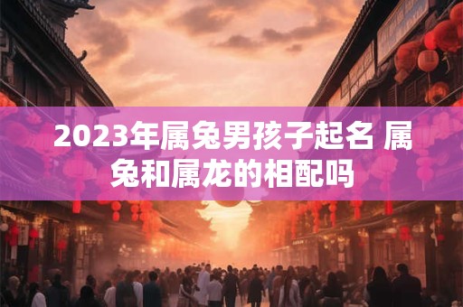2023年属兔男孩子起名 属兔和属龙的相配吗