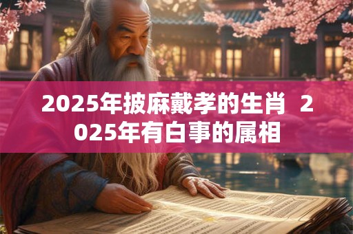 2025年披麻戴孝的生肖  2025年有白事的属相