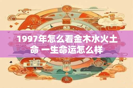 1997年怎么看金木水火土命 一生命运怎么样