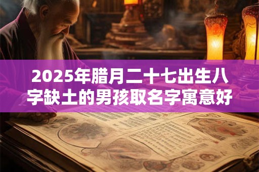 2025年腊月二十七出生八字缺土的男孩取名字寓意好