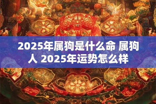 2025年属狗是什么命 属狗人 2025年运势怎么样