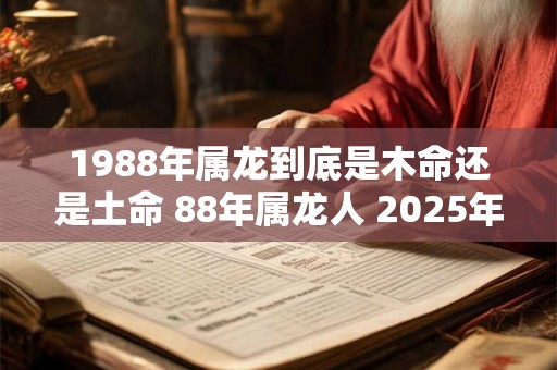 1988年属龙到底是木命还是土命 88年属龙人 2025年财运