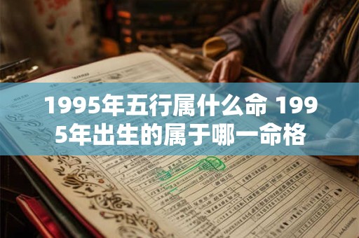 1995年五行属什么命 1995年出生的属于哪一命格 1995年五行属什么命 1995年出生的属于哪一命格